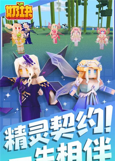 奶块应许服