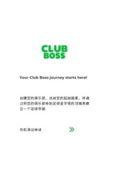 足球俱乐部老板