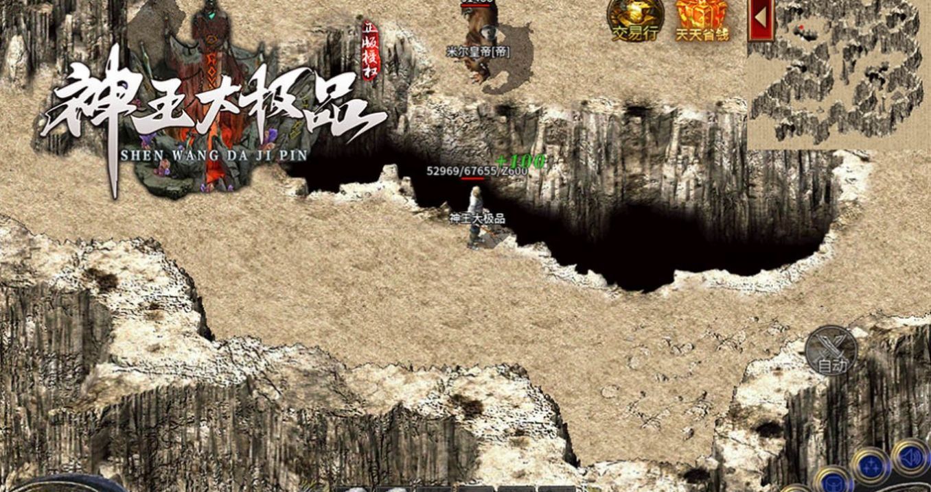 神王大极品