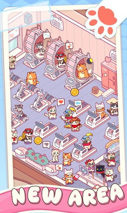 猫咪健身房