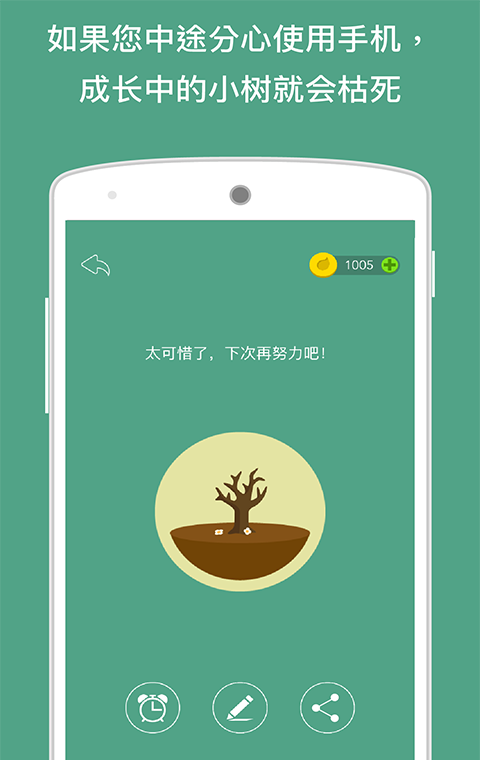 专注森林