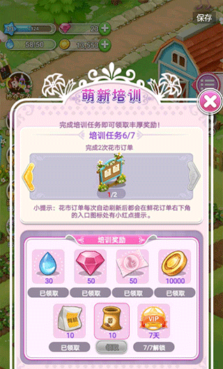 鲜花小镇