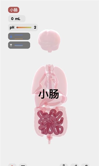 LIFE生命