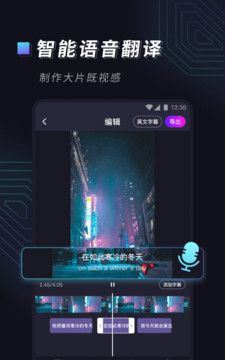 视频字幕大师