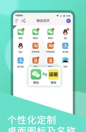双开大师