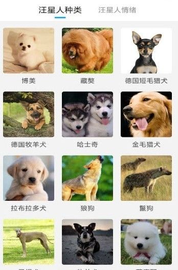 动物翻译器