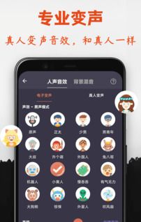 专业变声器