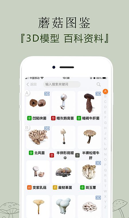 菌窝子
