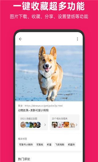 图片搜搜2025官方正版