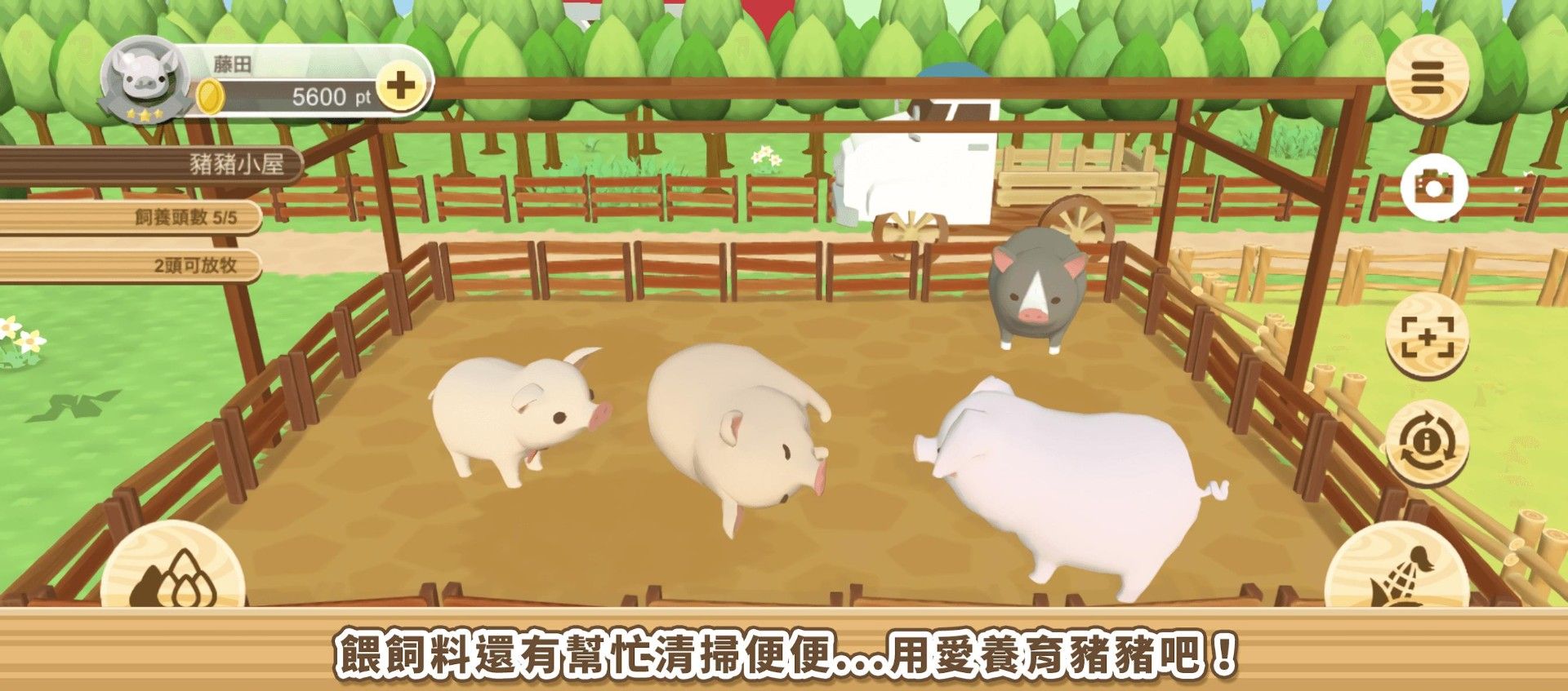 养猪场3D