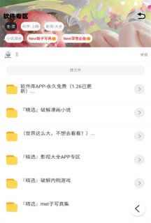 倾城软件库