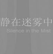静在迷雾中