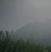 标尺领域