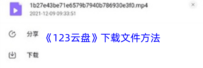 《123云盘》下载文件方法