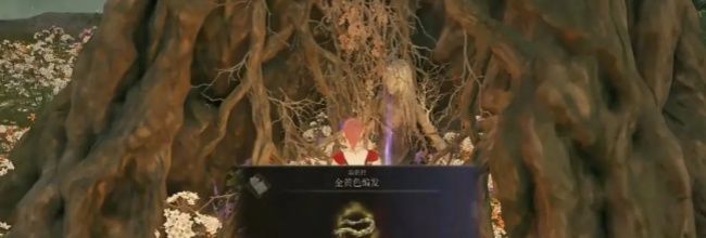 《艾尔登法环》金黄色编发获取方法