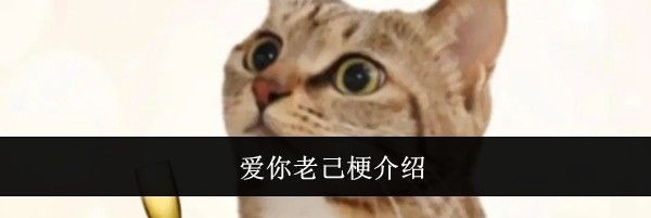 爱你老己梗介绍