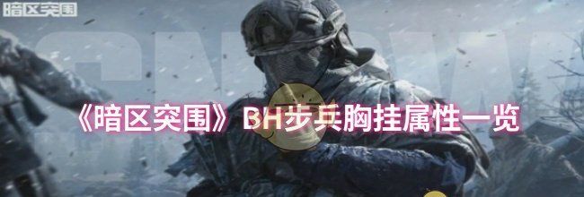 《暗区突围》BH步兵胸挂属性一览