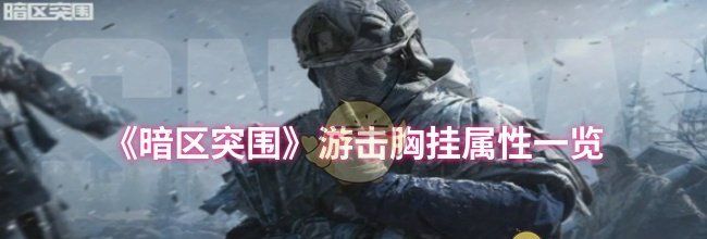 《暗区突围》游击胸挂属性一览