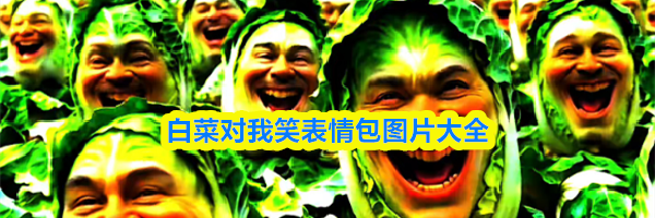 白菜对我笑表情包图片大全