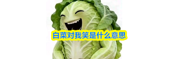 白菜对我笑是什么意思