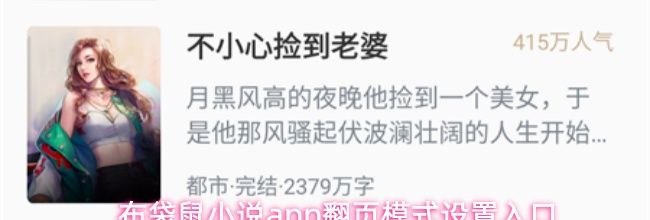 布袋鼠小说app翻页模式设置入口