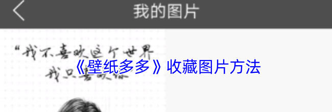 《壁纸多多》收藏图片方法