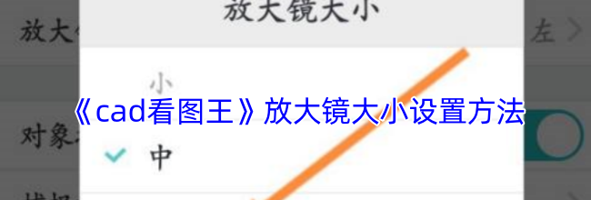 《cad看图王》放大镜大小设置方法
