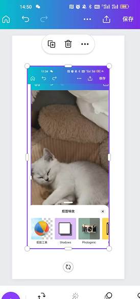 《canva可画》修改图片形状方法