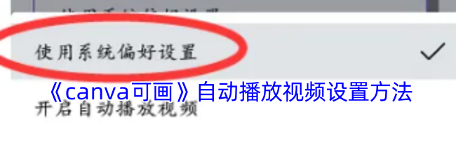 《canva可画》自动播放视频设置方法