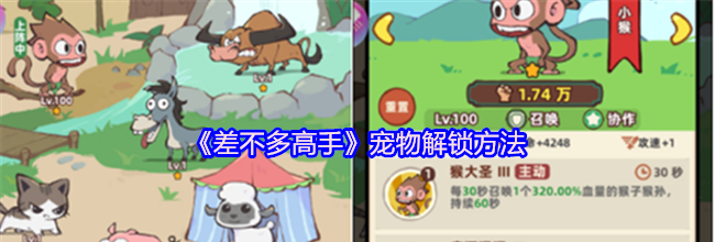 《差不多高手》宠物解锁方法