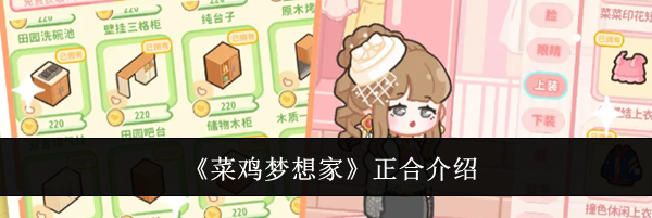 《菜鸡梦想家》正合介绍