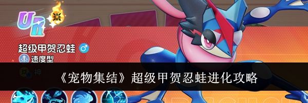 《宠物集结》超级甲贺忍蛙进化攻略