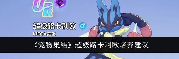 《宠物集结》超级路卡利欧培养建议