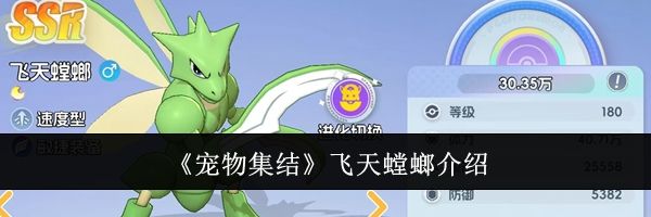 《宠物集结》飞天螳螂介绍