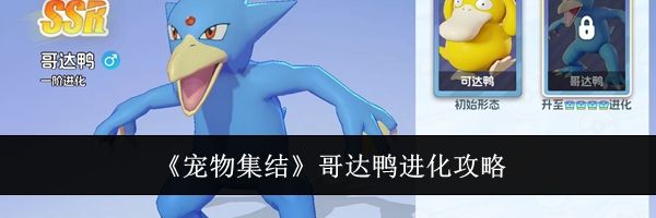 《宠物集结》哥达鸭进化攻略