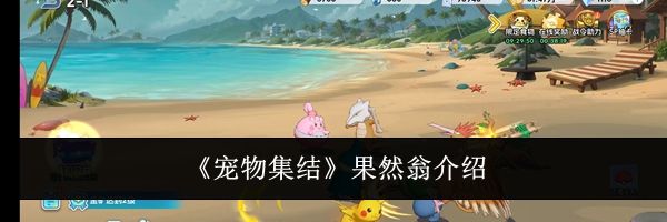 《宠物集结》果然翁介绍