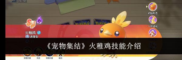 《宠物集结》火稚鸡技能介绍