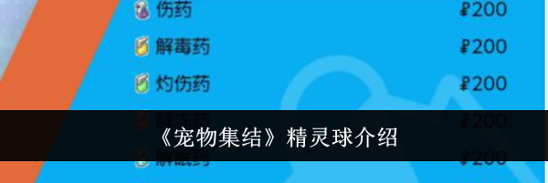 《宠物集结》精灵球介绍