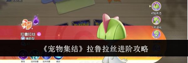 《宠物集结》拉鲁拉丝进阶攻略
