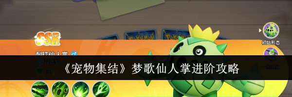 《宠物集结》梦歌仙人掌进阶攻略