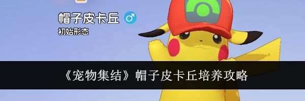 《宠物集结》帽子皮卡丘培养攻略