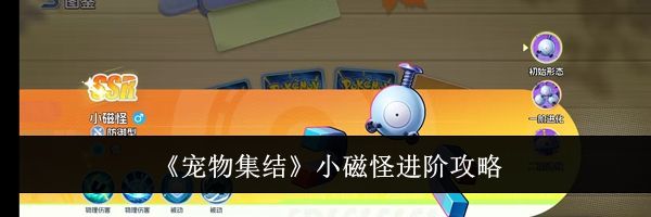 《宠物集结》小磁怪进阶攻略