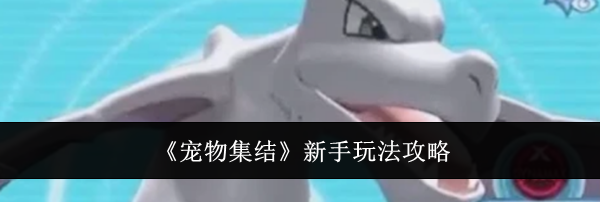 《宠物集结》新手玩法攻略