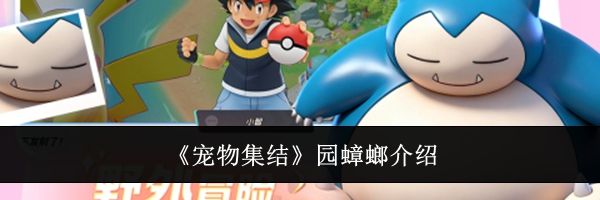 《宠物集结》园蟑螂介绍