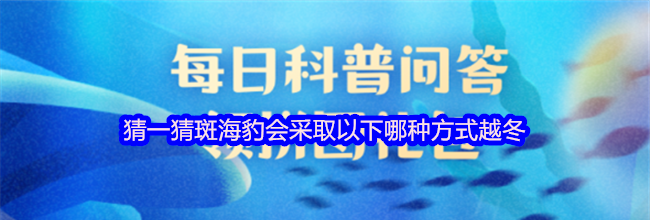 猜一猜斑海豹会采取以下哪种方式越冬