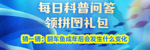猜一猜：翻车鱼成年后会发生什么变化