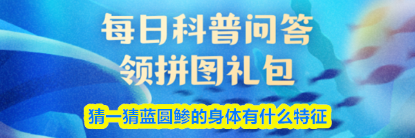 猜一猜蓝圆鲹的身体有什么特征