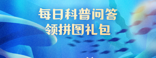 猜一猜圆翅燕鱼的幼鱼会模仿什么