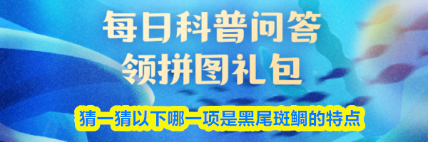 猜一猜以下哪一项是黑尾斑鲷的特点