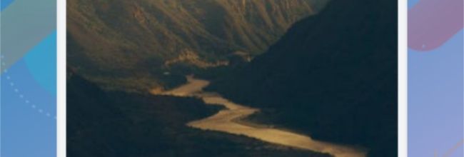 苍云阅读app添加书架操作